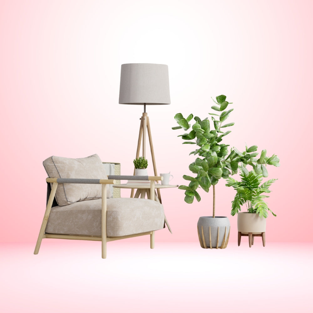 Home Living & Decór