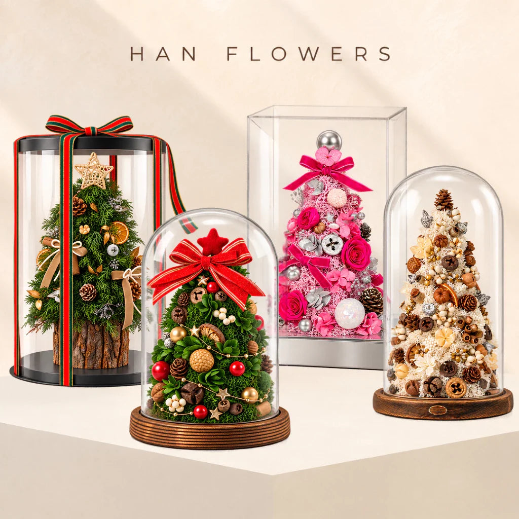 Christmas Collection