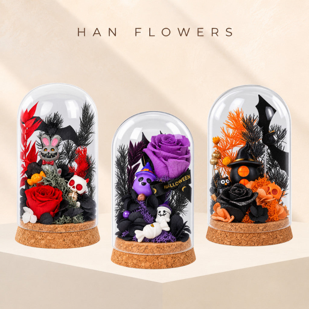 Festival Collection