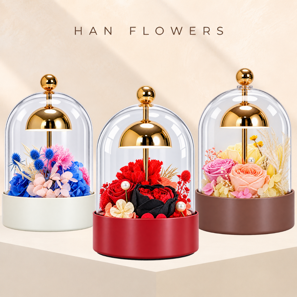 Preserved Flower Dome with LED Light
