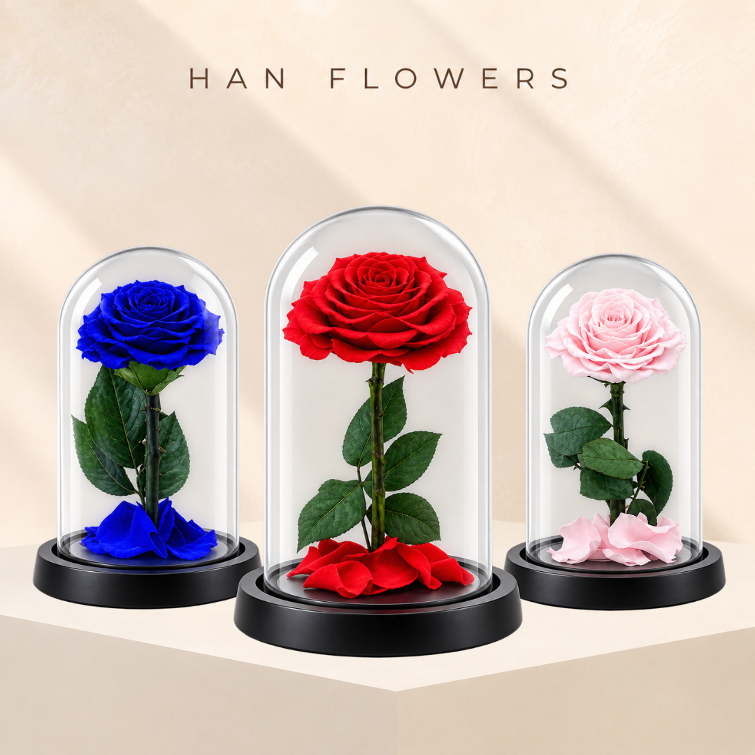 Little Prince Preserved Rose