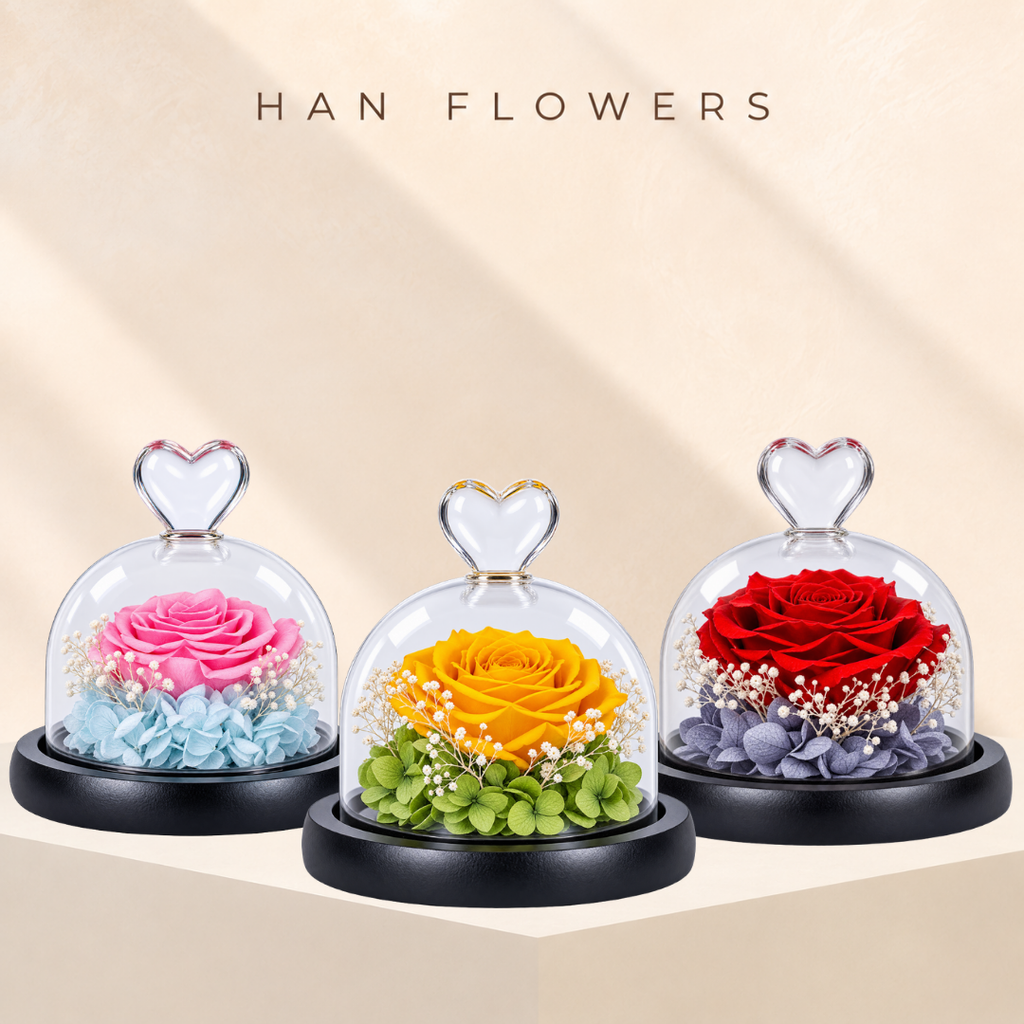 Single Preserved Rose in Glass Dome