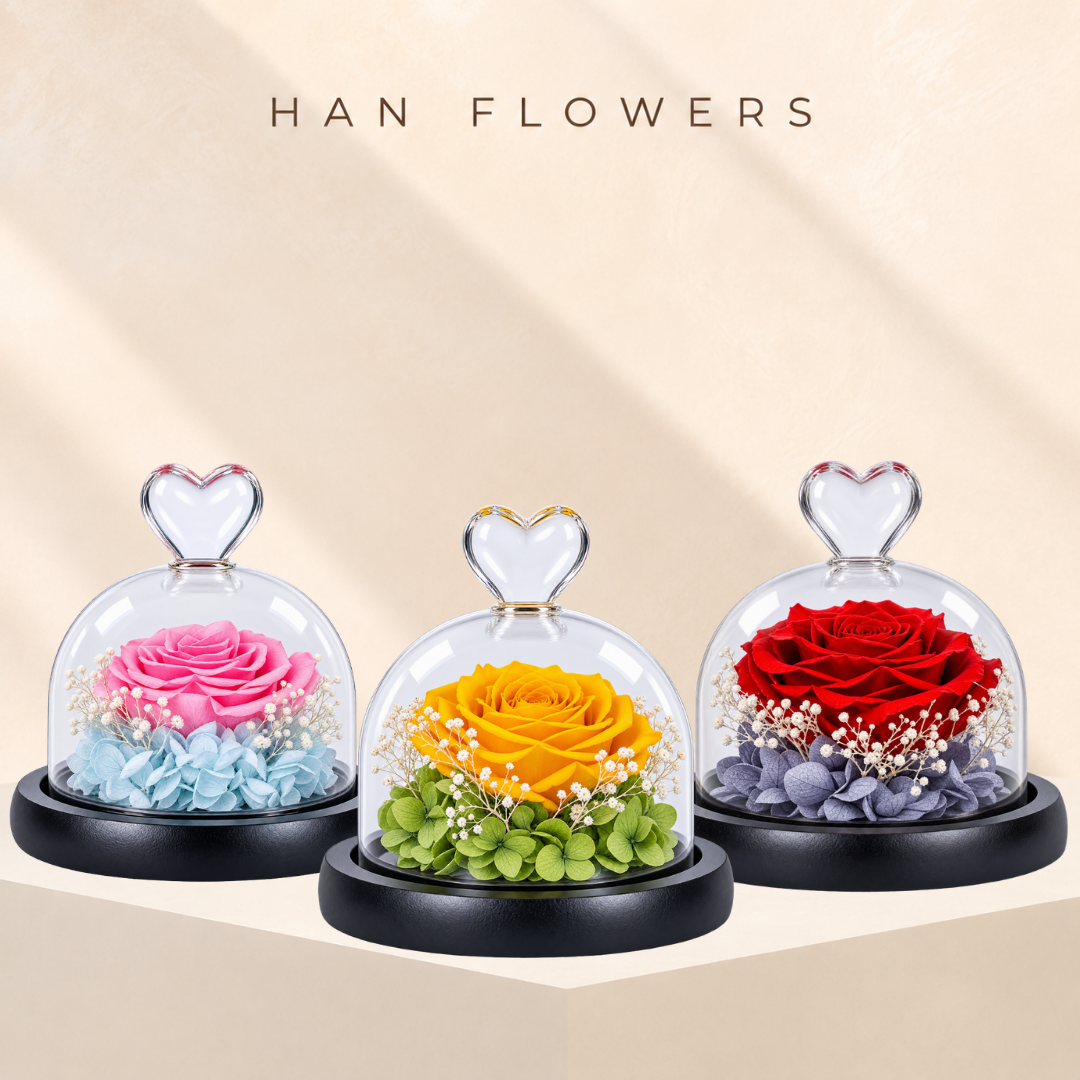 Single Preserved Rose in Glass Dome