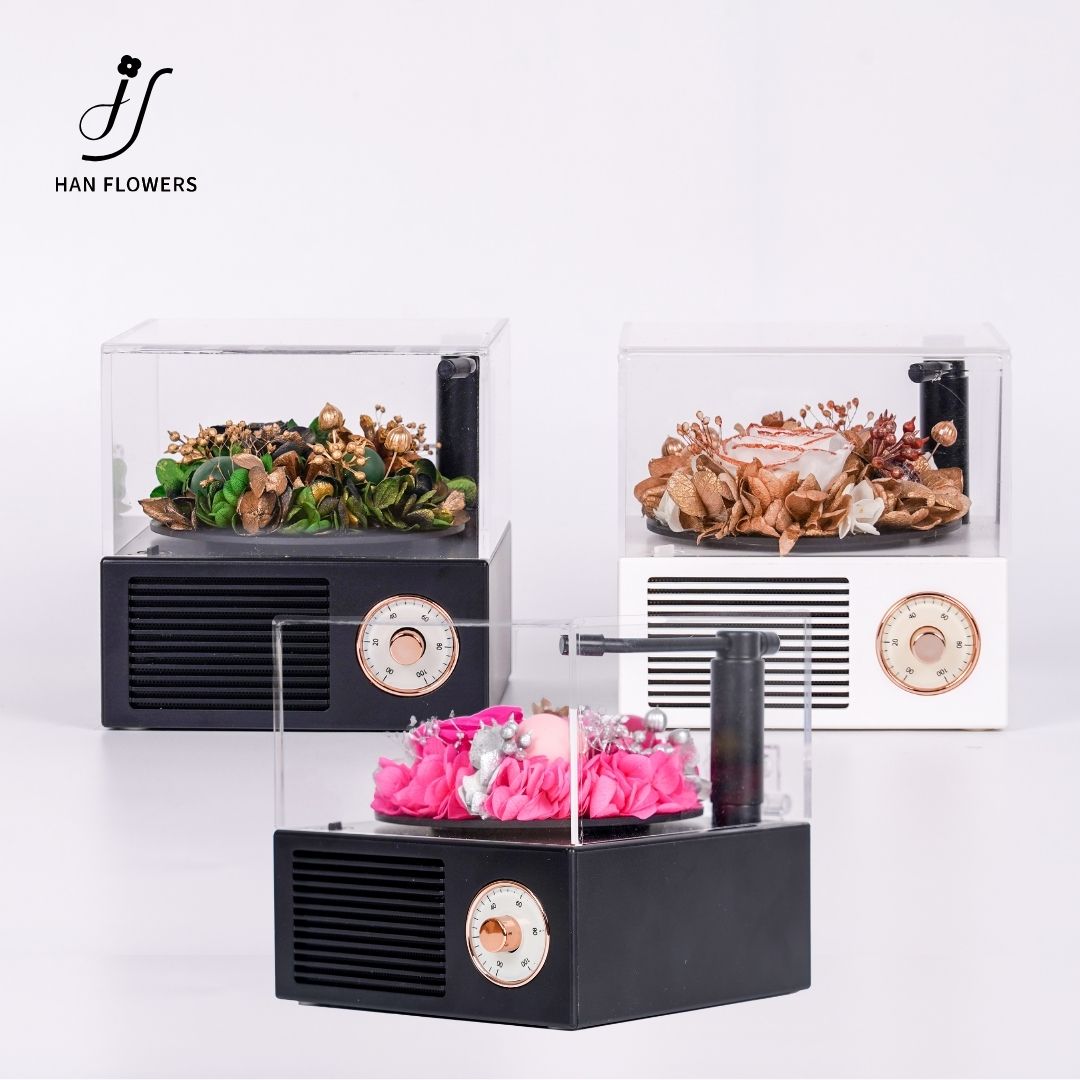 Gramophone Music Box Preserved Cozy Rose