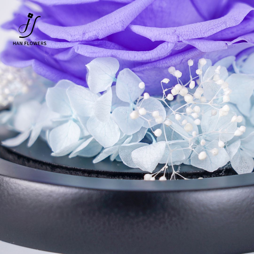 Single Preserved Rose in Glass Dome