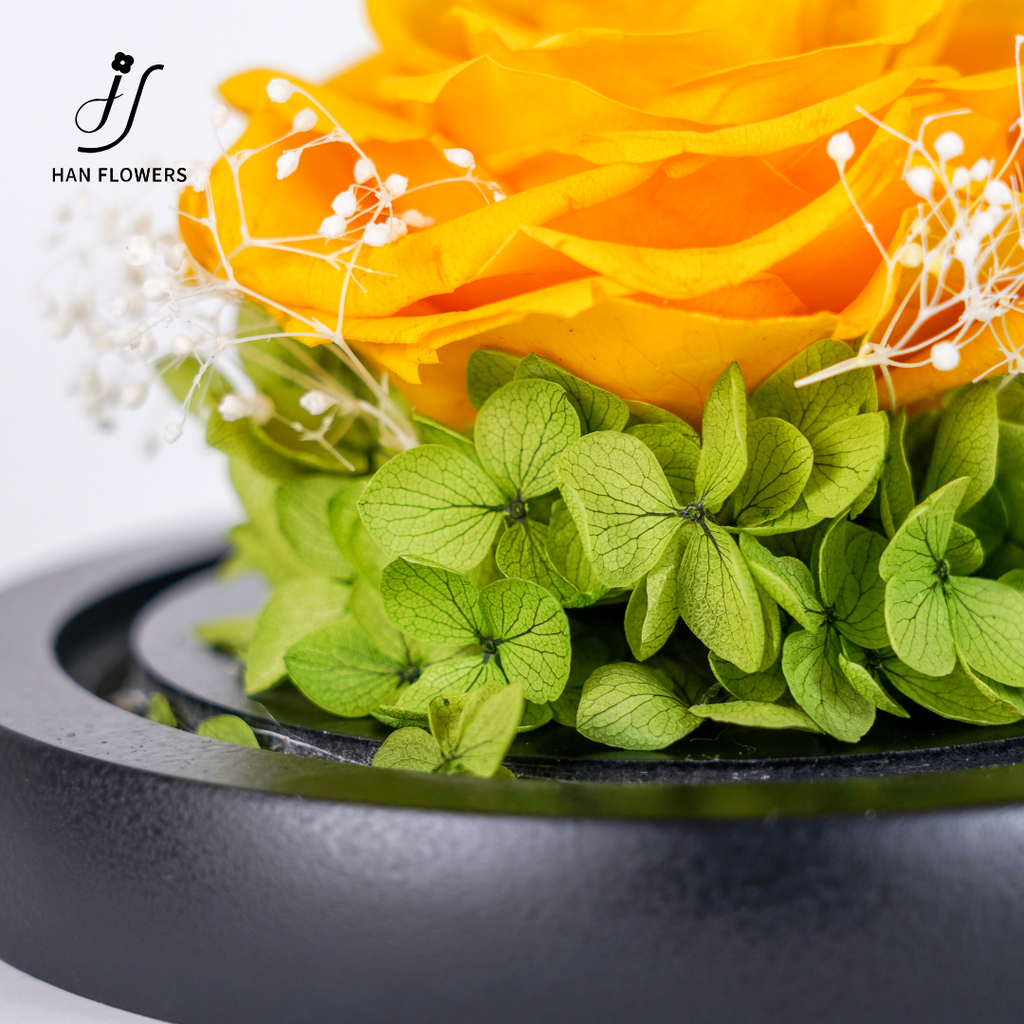 Single Preserved Rose in Glass Dome