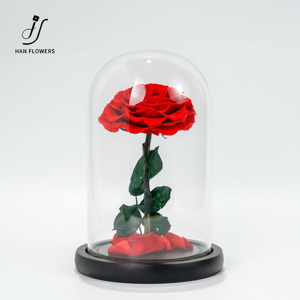 Little Prince Preserved Rose