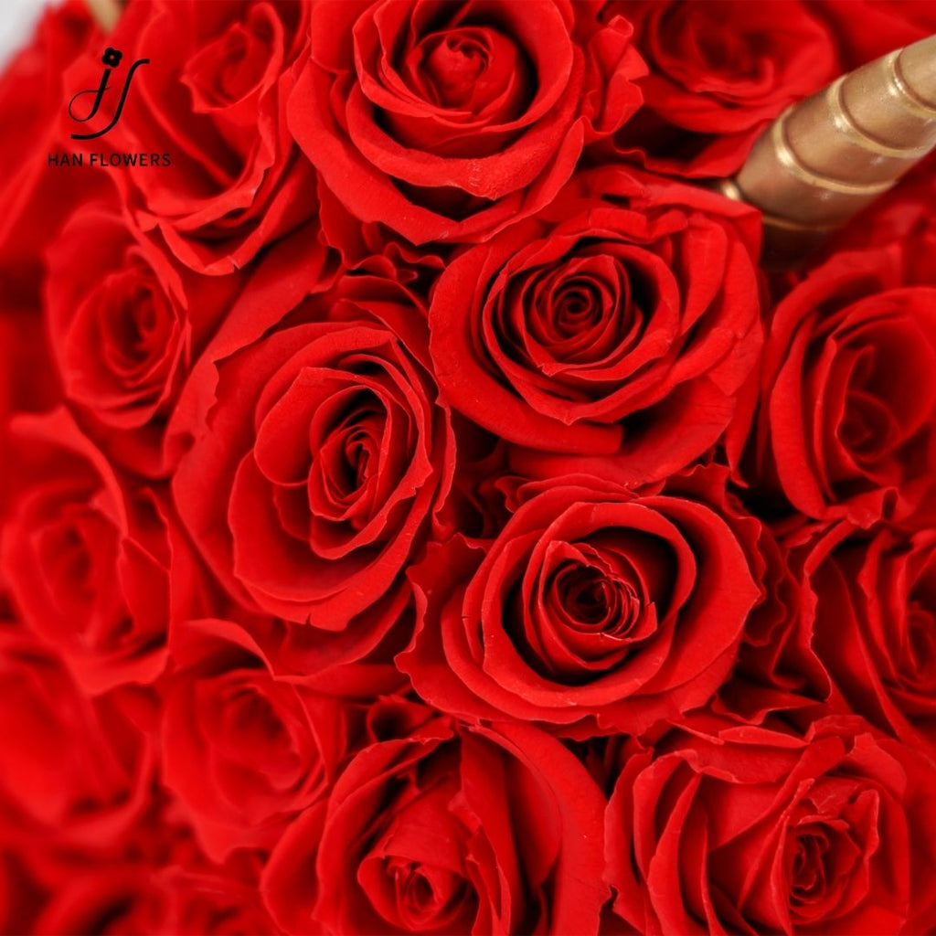 Red Unicorn Preserved Roses