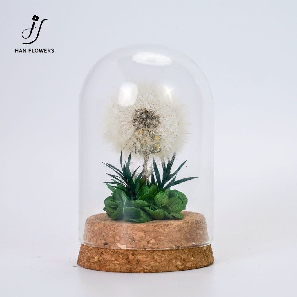 Dandelion Preserved Flower in Glass Dome