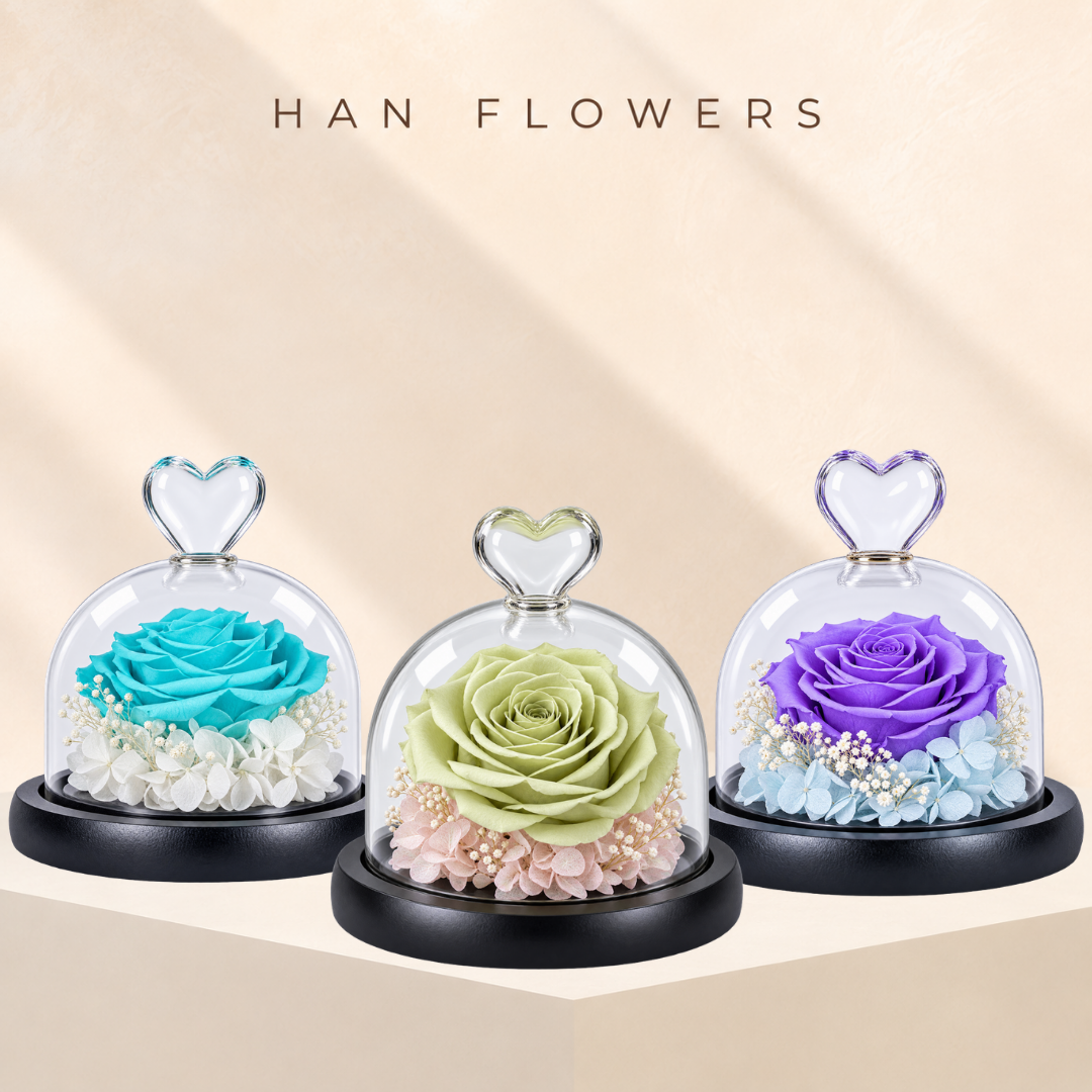 Single Preserved Rose in Glass Dome