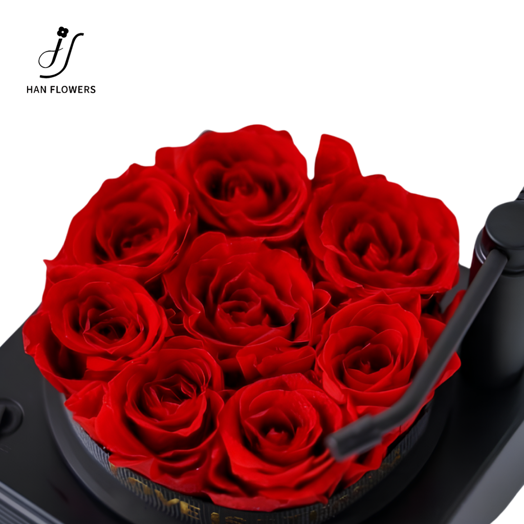 Mini Preserved Rose Gramophone Music Box