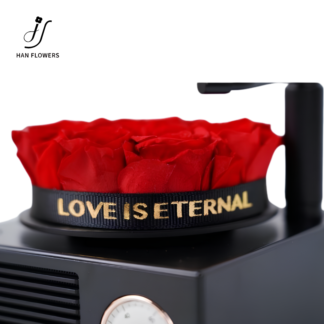 Mini Preserved Rose Gramophone Music Box