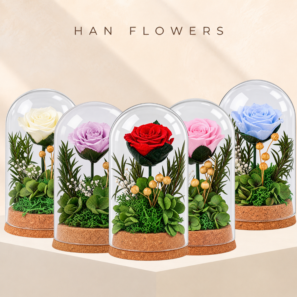 Mini Single Preserved Rose Dome