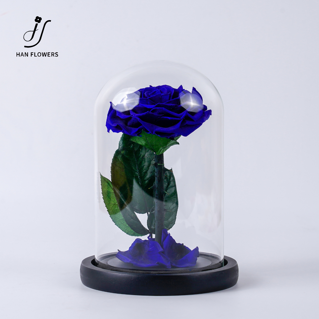 Little Prince Preserved Rose