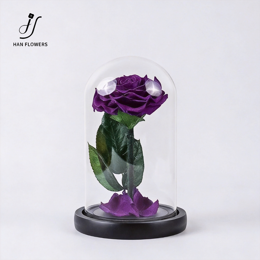 Little Prince Preserved Rose