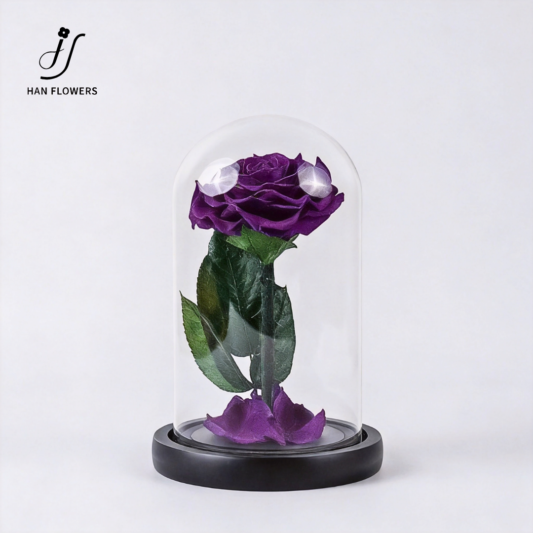 Little Prince Preserved Rose
