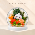 Master Chef Panda Preserved Flower LED Dome