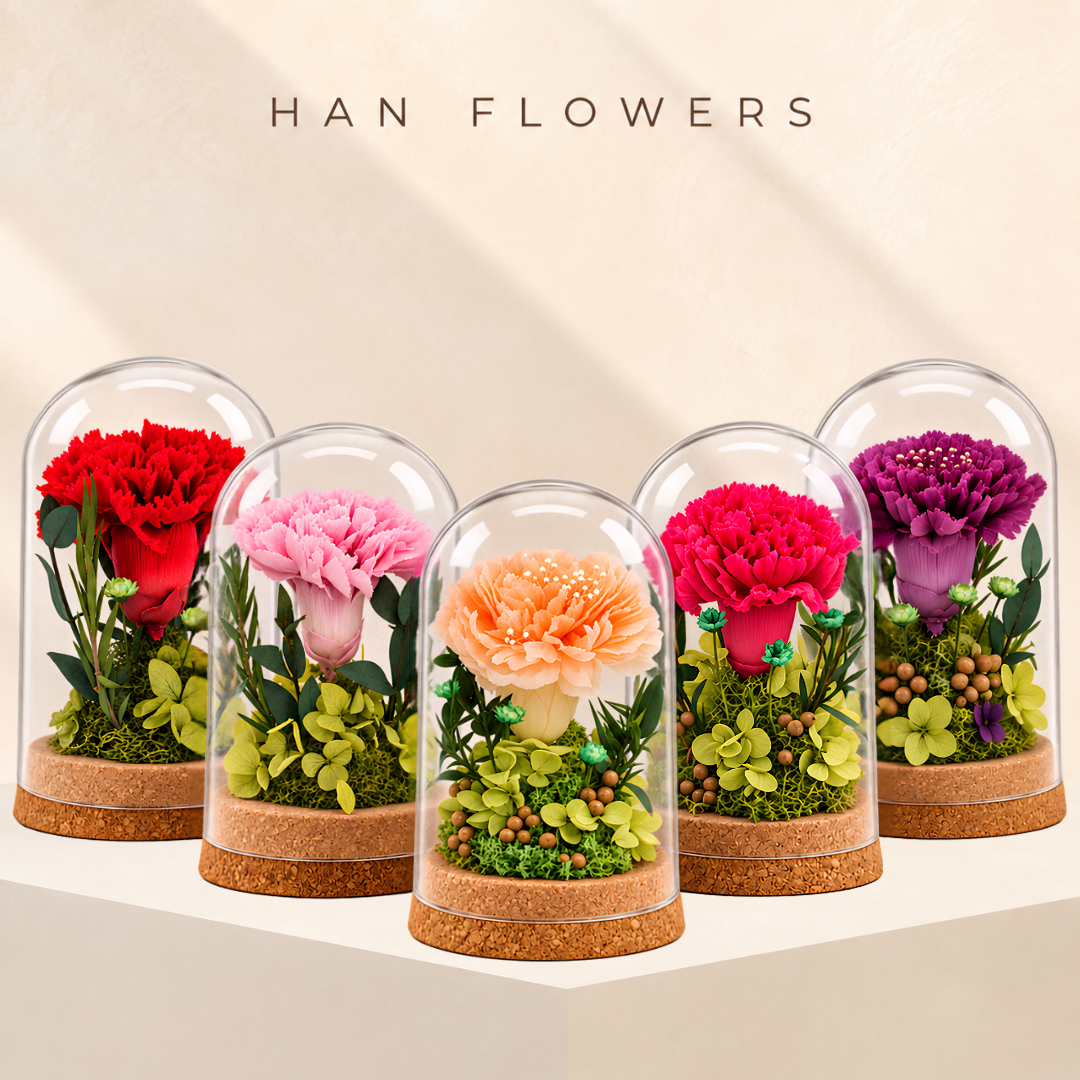 Single Gratitude Carnation Dome