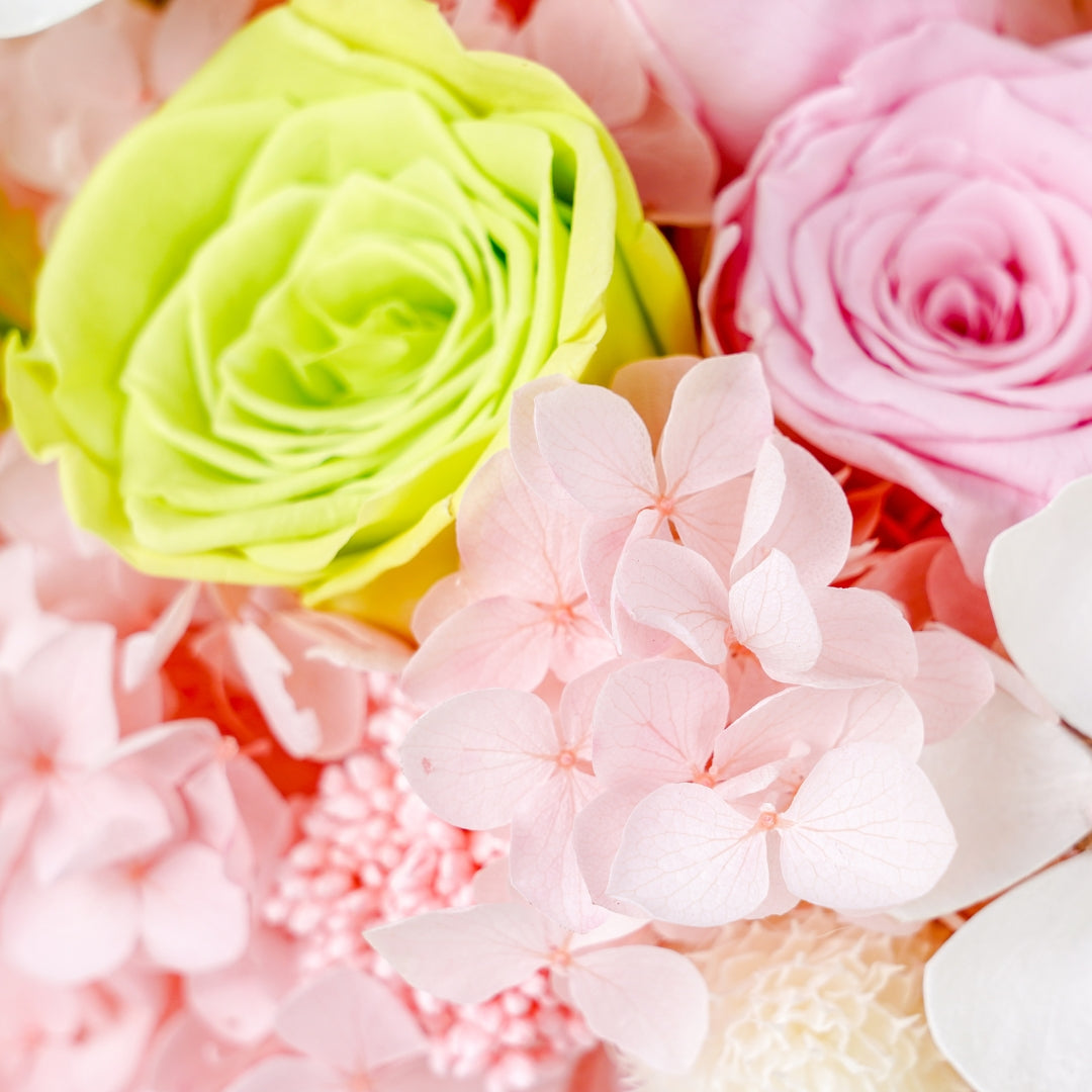Pastel Reverie Preserved Flower Bouquet