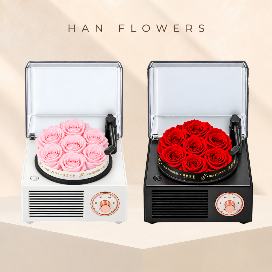 Mini Preserved Rose Gramophone Music Box