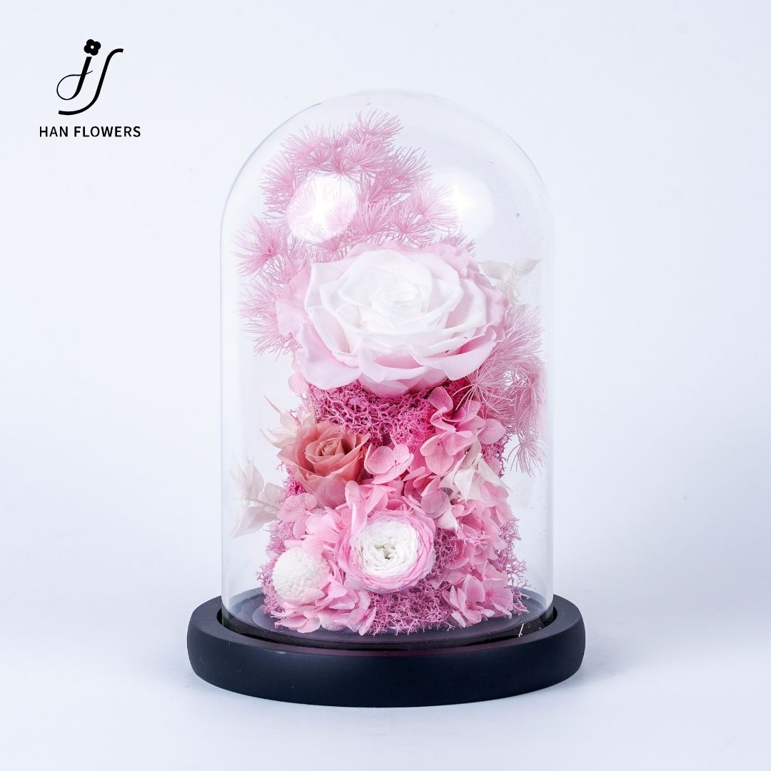 Stem Rose Bloom