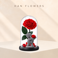 Preserved Rose Bear in Glass Dome