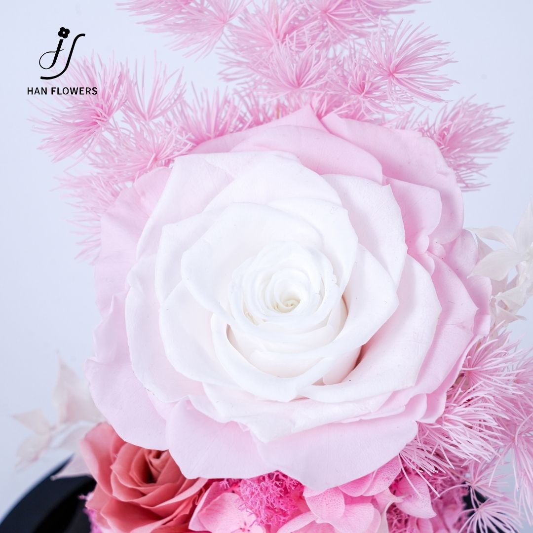 Stem Rose Bloom