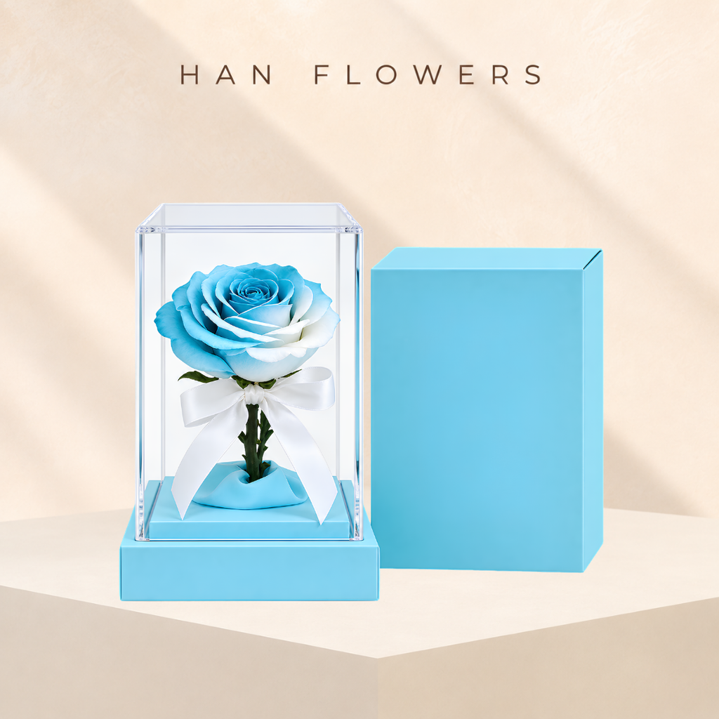 Gemini Gradient Preserved Rose Arrangement