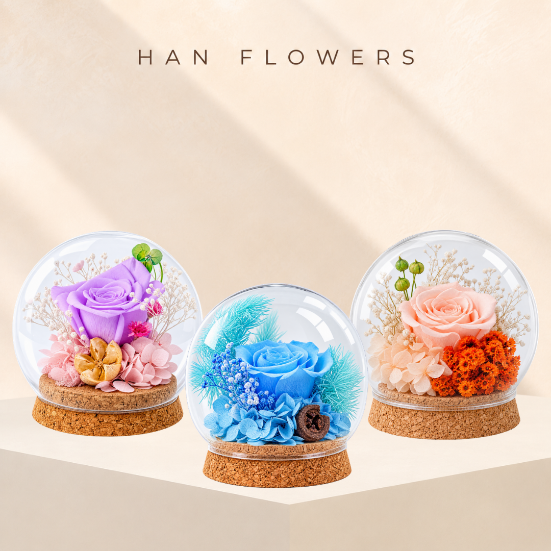 Preserved Rose & Floral Accents Dome
