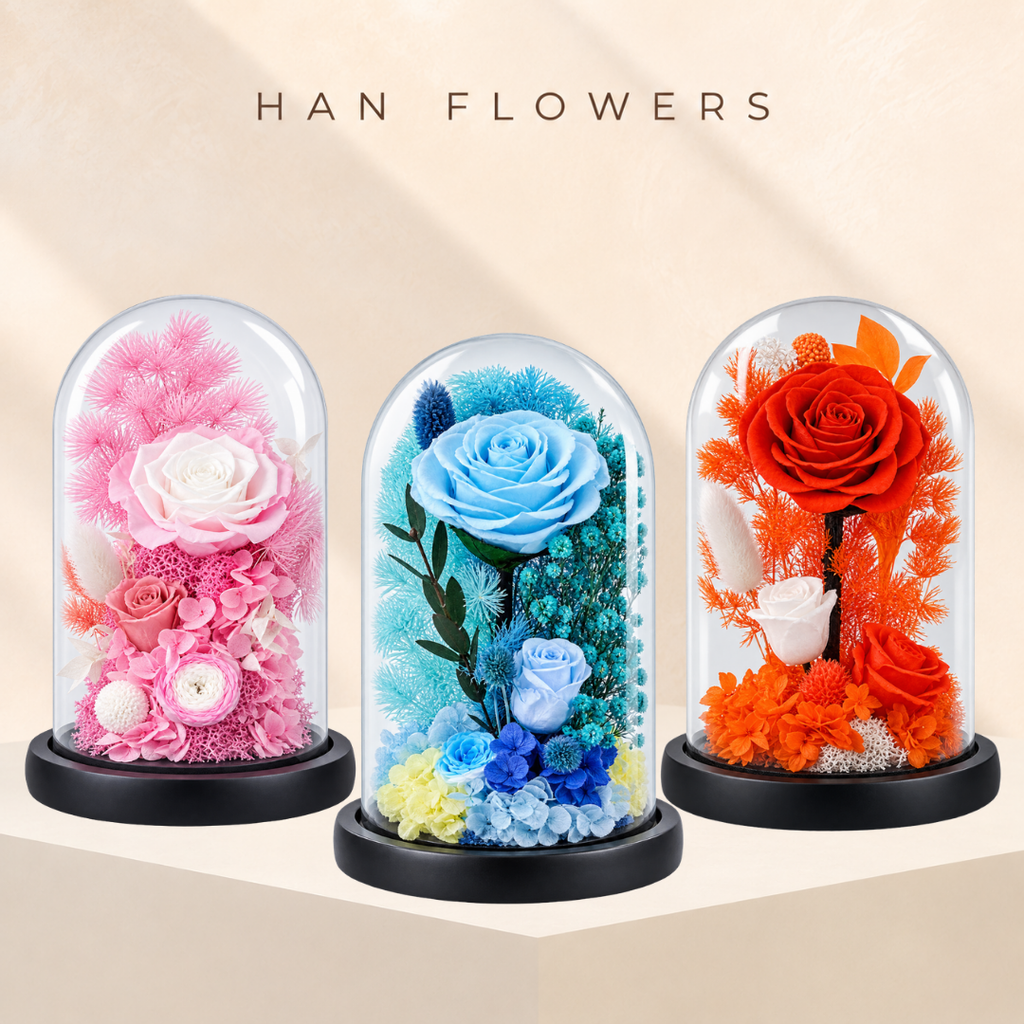 Stem Rose Bloom Preserved Rose Dome