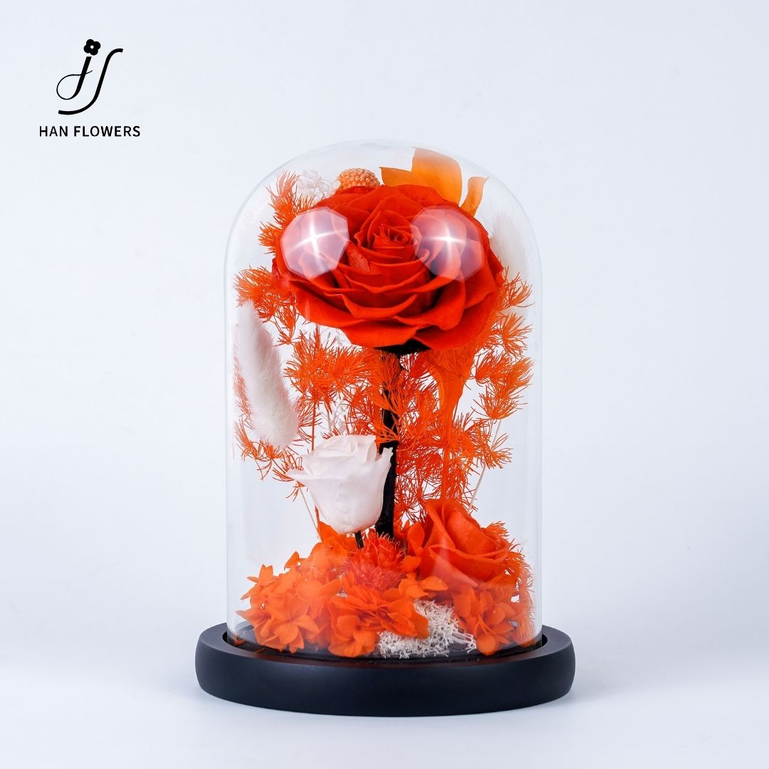 Stem Rose Bloom