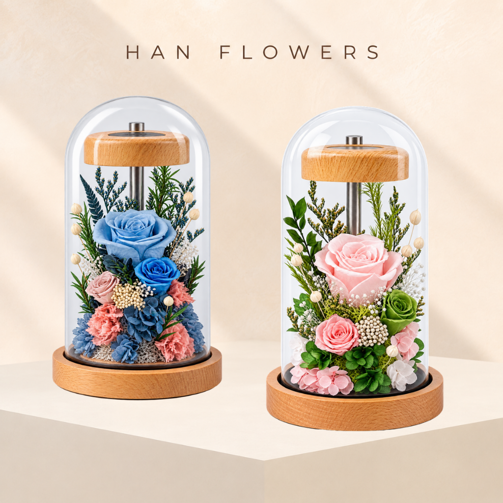Rosy Haven Preserved Rose with LED Light