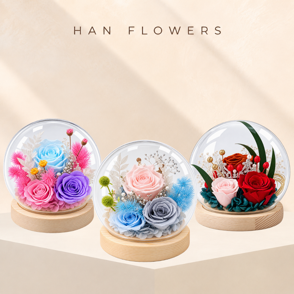 Preserved Rose Radiance Arrangement