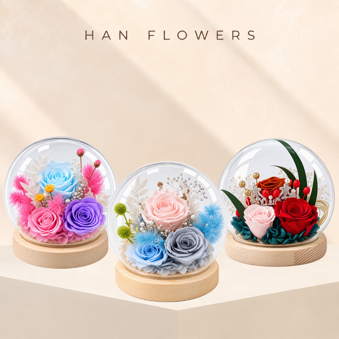 Preserved Rose Radiance Arrangement