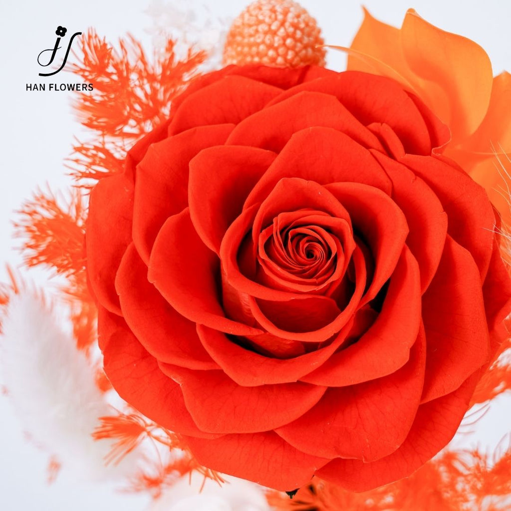 Stem Rose Bloom Preserved Rose Dome