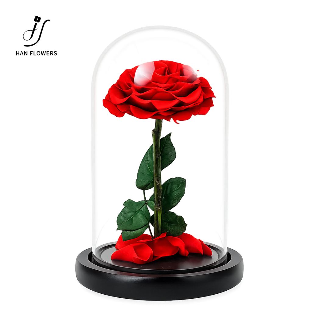 Little Prince Preserved Rose