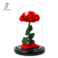 Little Prince Preserved Rose