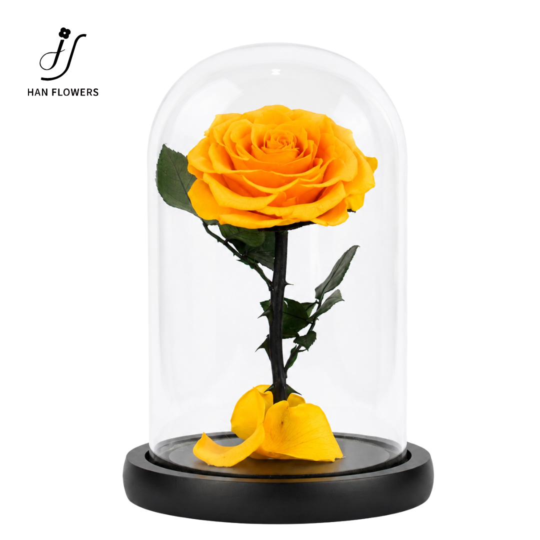 Little Prince Preserved Rose
