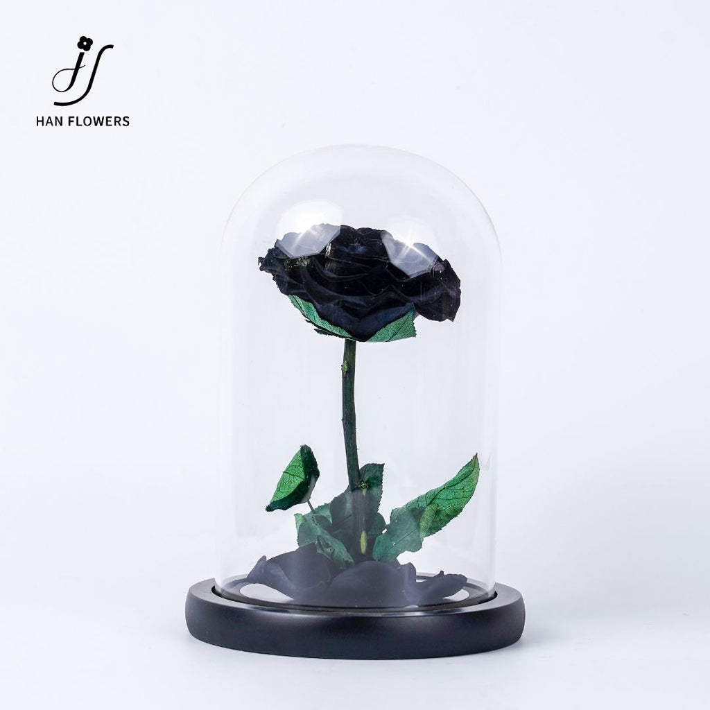 Little Prince Preserved Rose