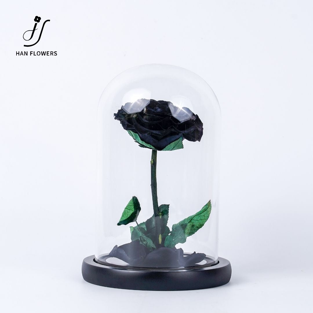 Little Prince Preserved Rose
