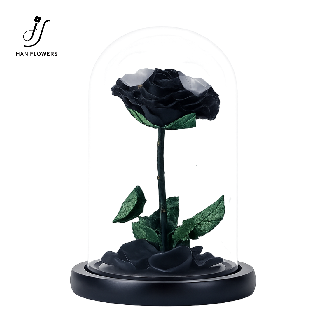 Little Prince Preserved Rose