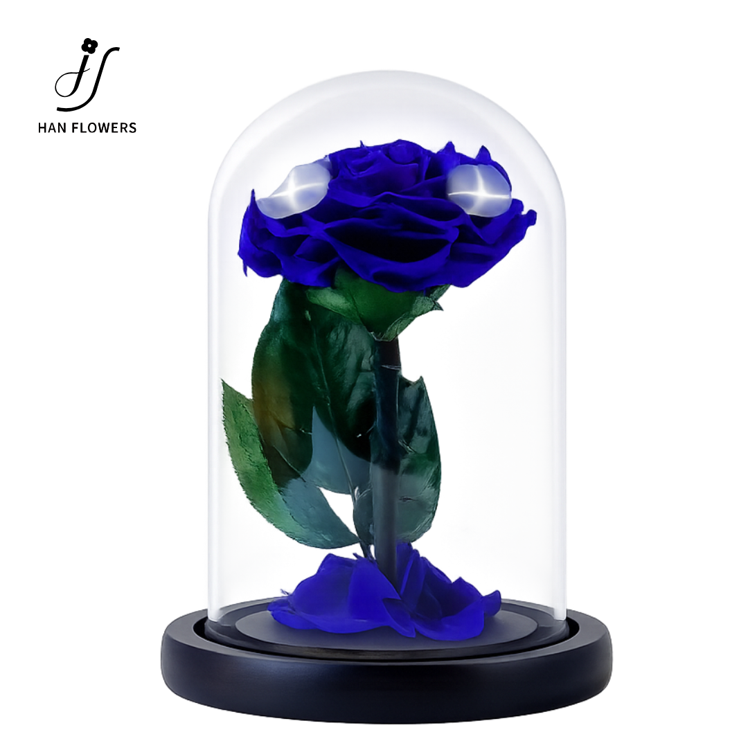Little Prince Preserved Rose