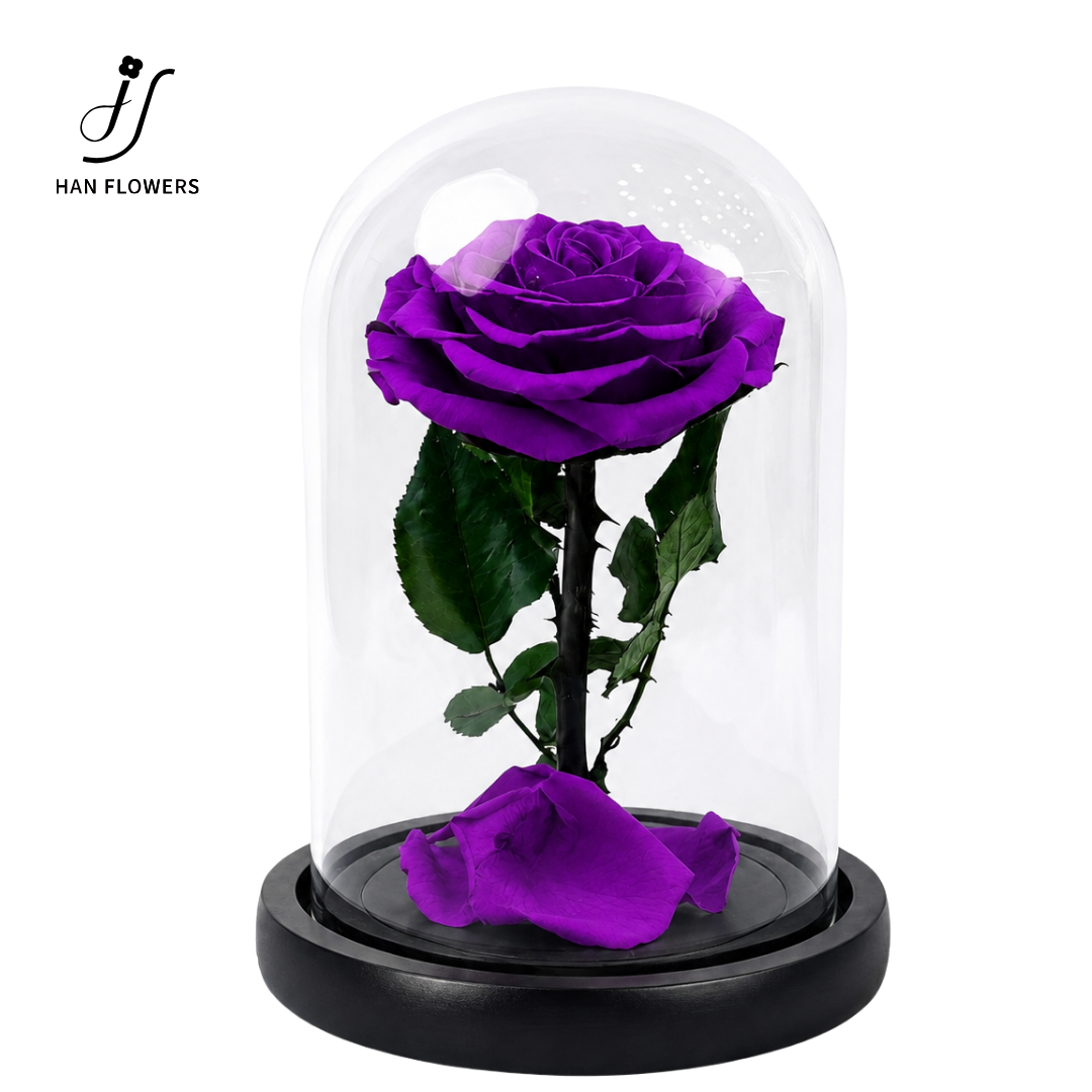 Little Prince Preserved Rose