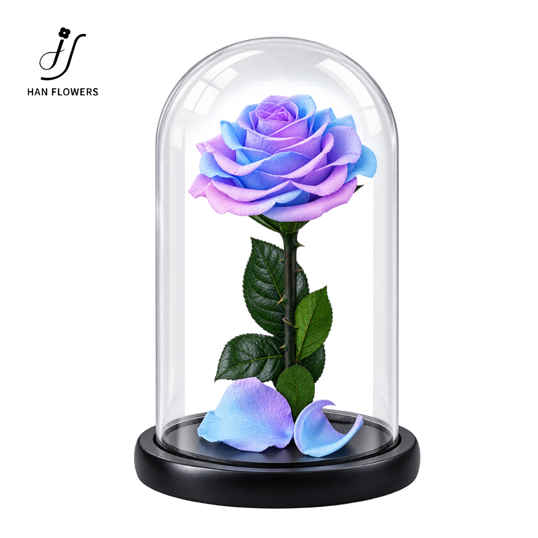 Little Prince Preserved Rose