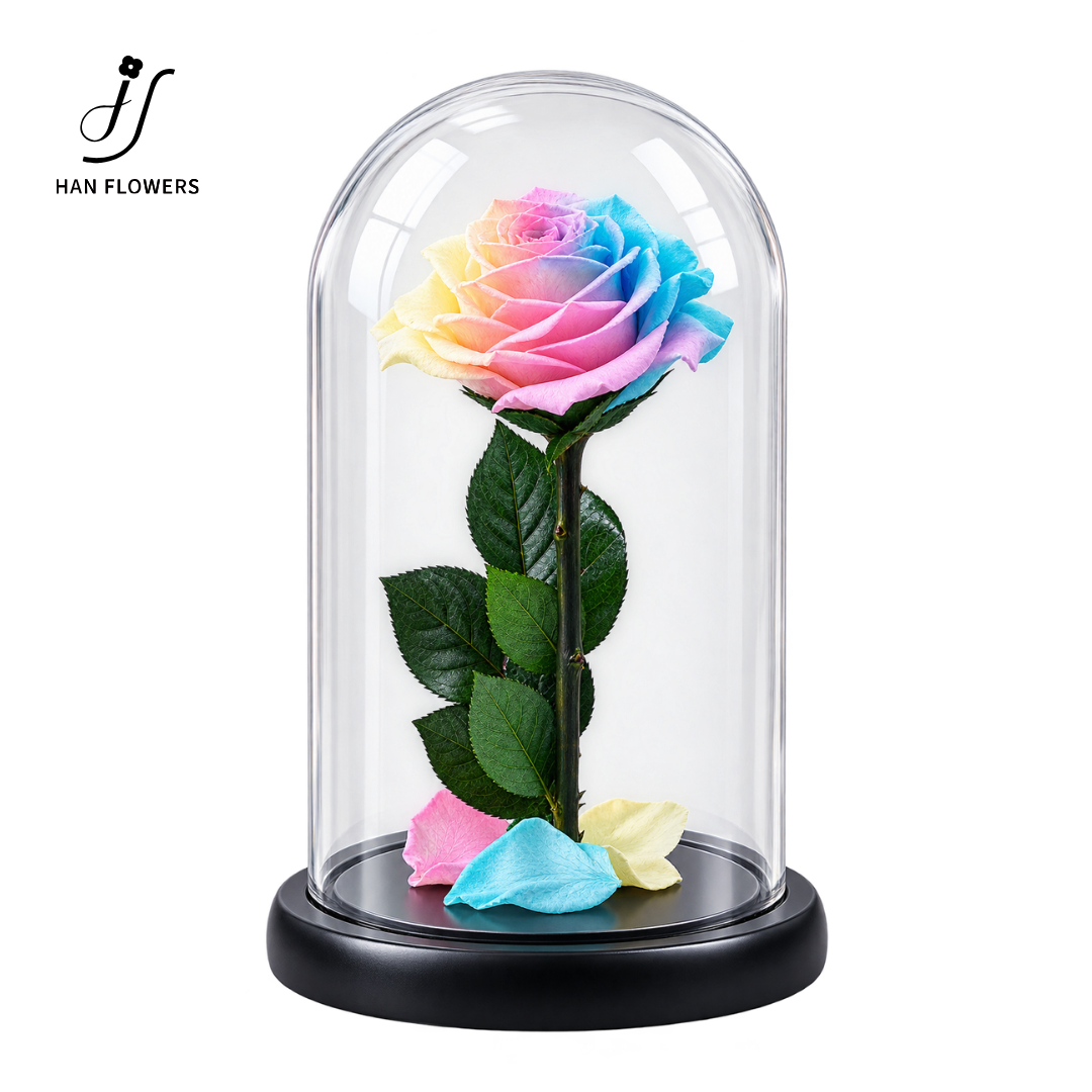 Little Prince Preserved Rose