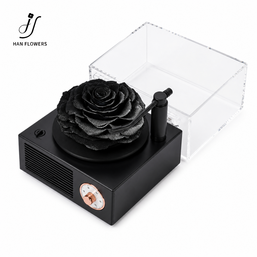 Gramophone Music Box with Preserved Rose