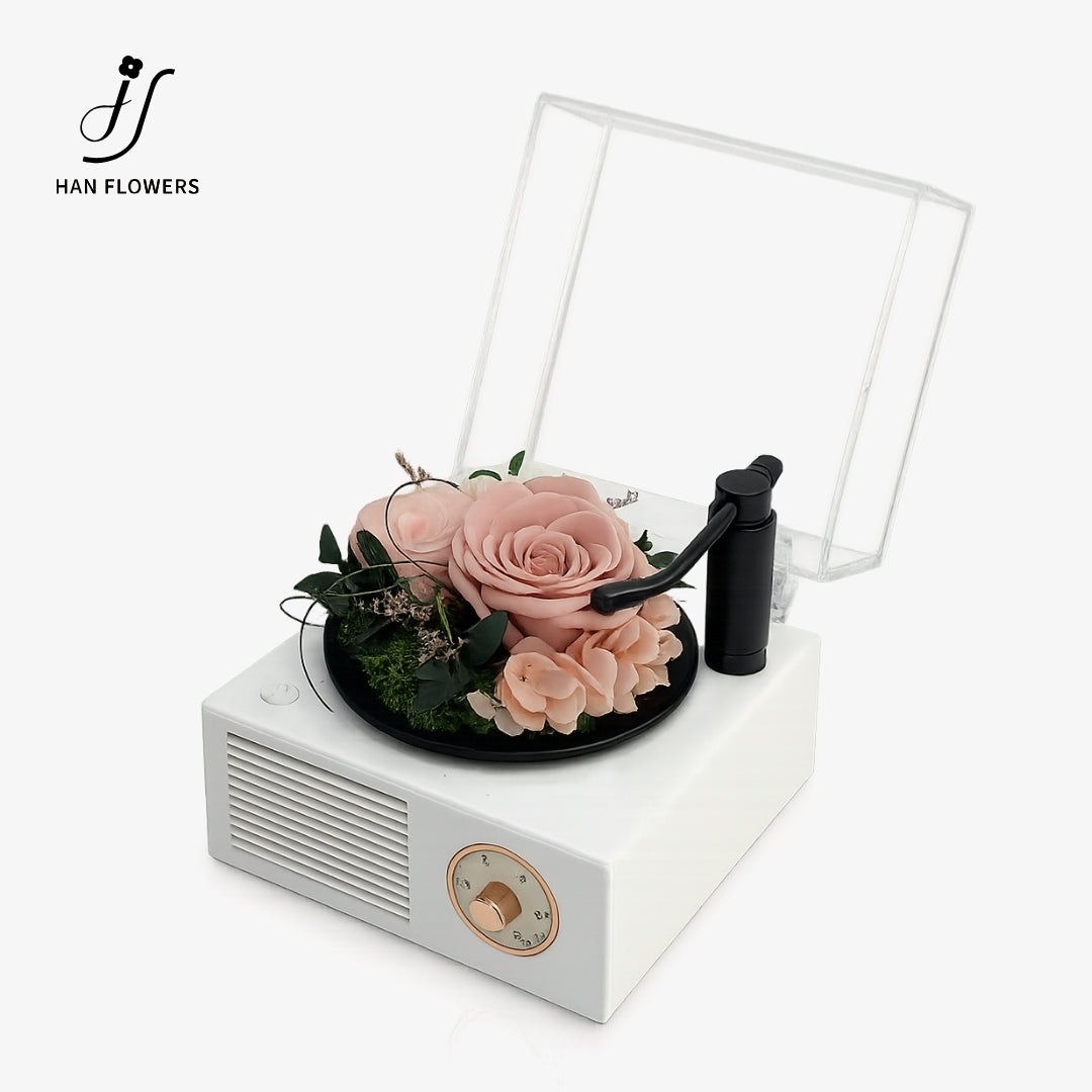 Garden Gramophone Music Box