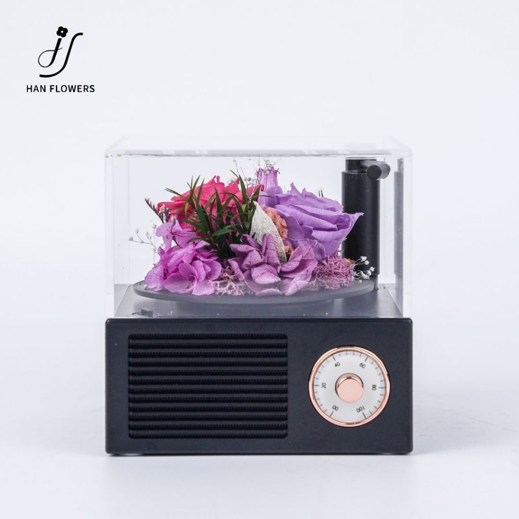 Garden Gramophone Music Box