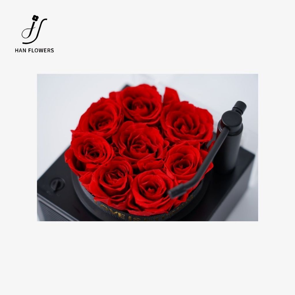 Mini Preserved Roses Gramophone Music Box