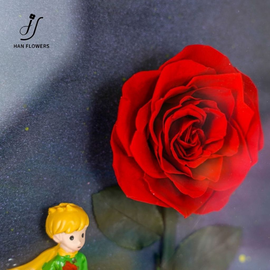 Little Prince Romantic Story-Themed Frame
